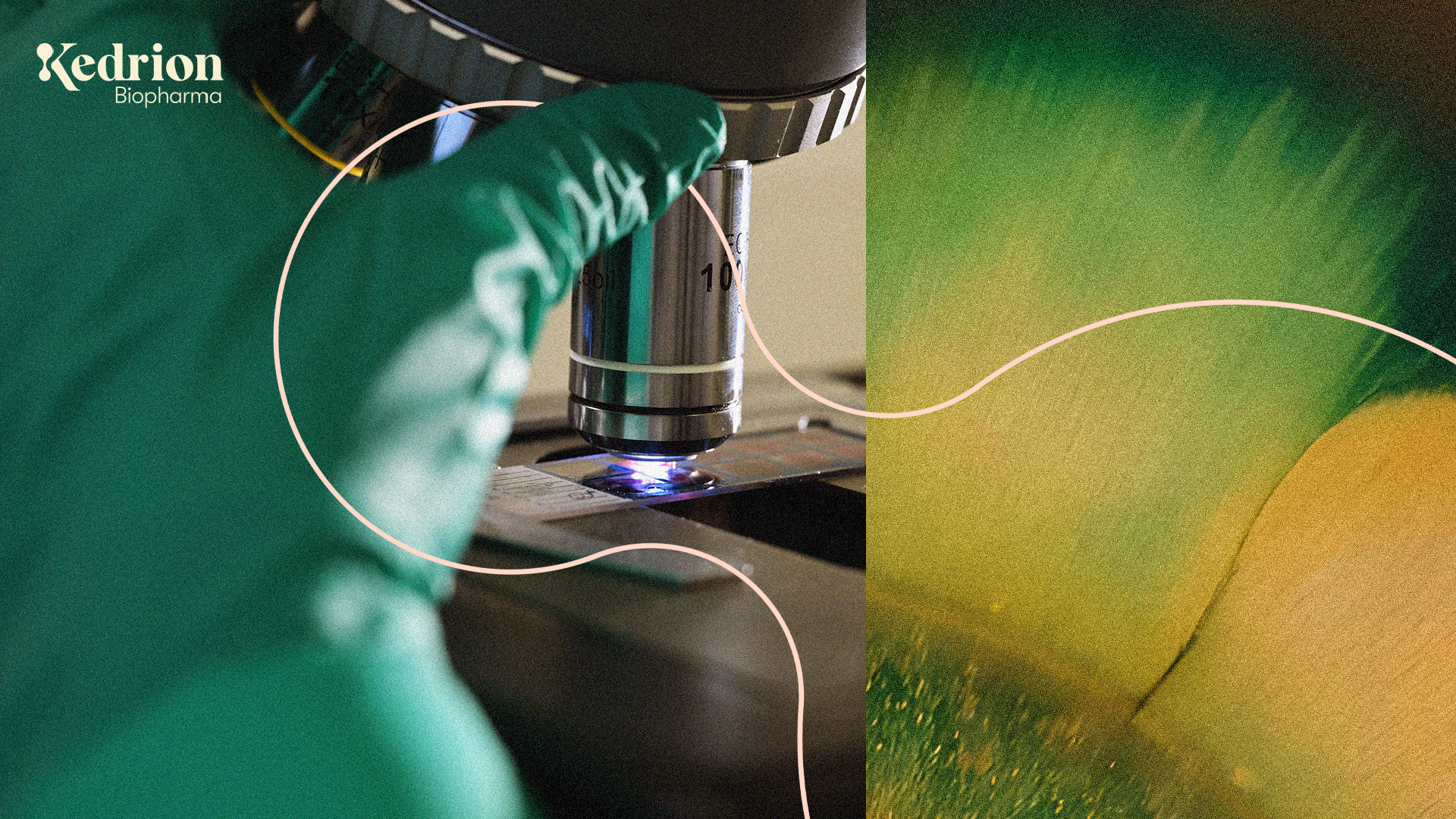 Kedrion Biopharma Receives FDA Approval for QIVIGY® (Immune Globulin 10% IV) for treatment of Primary Humoral Immunodeficiency in Adults and confirms its plan to increase investments in the U.S. throughout its global operations